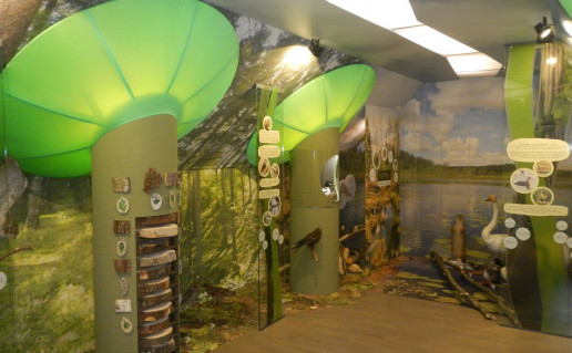 35_Plateliu LC ekspozicija. D. Abrutes n.jpg